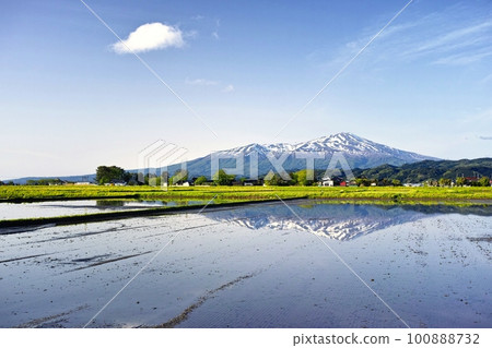 Paddy fields and Mt. Paddy fields and Mt. 100888732