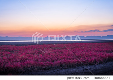 Shichimenso scenery against a beautiful sunset sky "Higashiyoka Tidal Flat Visitor Center Higasasu (Saga City)" Shichimenso scenery against a beautiful sunset sky "Higashiyoka Tidal Flat Visitor Center Higasasu (Saga City)" 100888867
