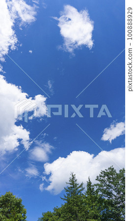 Refreshing fresh green and blue sky scenery 100888929