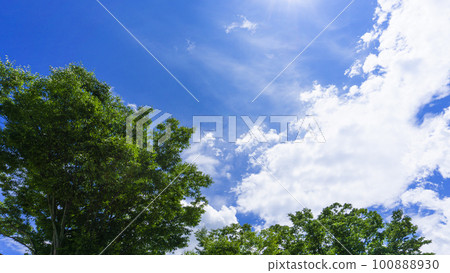 Refreshing fresh green and blue sky scenery 100888930
