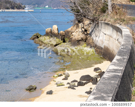The scenery of the coast of Sagishima (Sagiura-cho, Mihara City, Hiroshima Prefecture) and the blue sea (Seto Inland Sea). 100889937