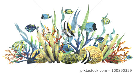 Bright reef fish with corals, sea sponges and algae. Watercolor illustration. Composition from the collection TROPICAL FISHES. For decoration and design of summer and beach prints, stickers Bright reef fish with corals, sea sponges and algae. Watercolor illustration. Composition from the collection TROPICAL FISHES. For decoration and design of summer and beach prints, stickers 100890339