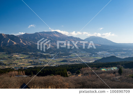 Morning scenery with blue sky and white clouds and early blooming Kawazu cherry blossoms with Aso Gogaku 100890709