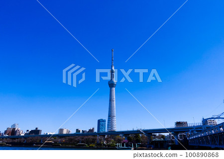 sunny day sky tree sunny day sky tree 100890868