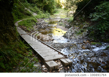 A river and a wooden path flowing from Kuguri Falls where the river shines yellow A river and a wooden path flowing from Kuguri Falls where the river shines yellow 100891764