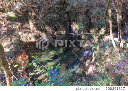 Chusuke-buchi found on the walking path to Hossawa Falls | Hinohara-mura, Nishitama-gun, Tokyo [February] 100891817