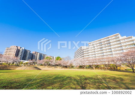 郊區住宅區,大公寓和櫻花景觀 郊區住宅區,大公寓和櫻花景觀 100892002