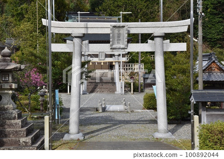 福井縣春天早晨的上西神社 100892044
