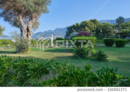 Public park near Sveti Stefan beach in Montenegro. Summer sunny day. Public park near Sveti Stefan beach in Montenegro. Summer sunny day. 100892371