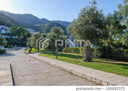 Public park near Sveti Stefan beach in Montenegro. Summer sunny day. 100892372