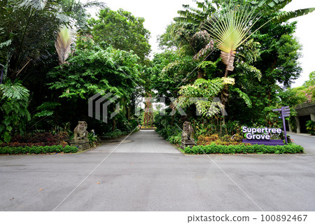 濱海灣花園 Supertree Grove 入口 100892467