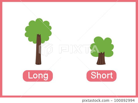 Long and short opposite adjectives educational flashcard. Flashcard with trees for school and preschool 100892994
