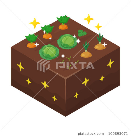 Illustration of healthy vegetables __Isometric Illustration of healthy vegetables __Isometric 100893071