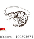 Hand drawn live shrimp isolated on white background. Vector sea food sketch for poster, web design, banner, card, flyer, icon, logo or badge. 100893674