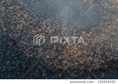 Making rice husk charcoal from rice husk 100893810
