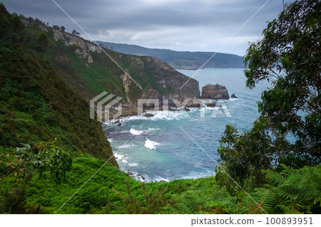 Punta socastro cliffs and Atlantic ocean, Galicia, Spain 100893951