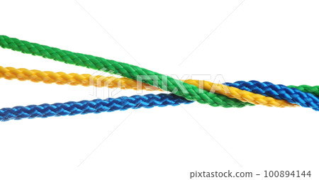Twisted colorful ropes isolated on white. Unity concept 100894144