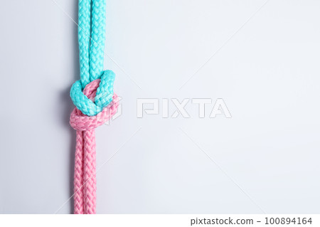 Colorful ropes tied together with knot isolated on white, top view. Unity concept 100894164
