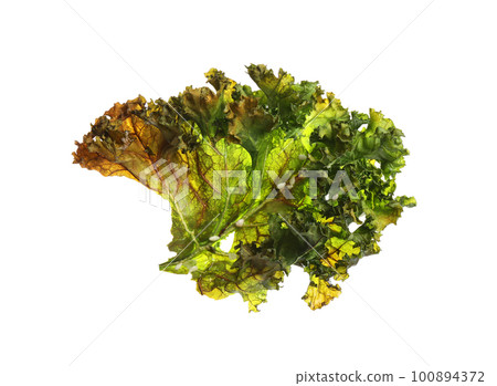 Tasty baked kale chip isolated on white 100894372