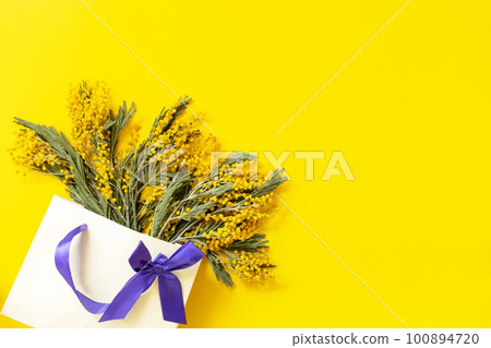 Mimosa flowers up gift paper bag on yellow background. Spring concept, flowers composition. Greeting card. View from above. Copy space. Mimosa flowers up gift paper bag on yellow background. Spring concept, flowers composition. Greeting card. View from above. Copy space. 100894720