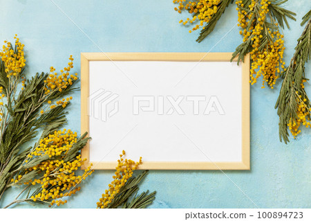 Mimosa flowers with photo frame on blue background. Womens day, Mothers day, Valentines Day, Birthday celebration concept. Greeting card. View from above. Copy space. Mimosa flowers with photo frame on blue background. Womens day, Mothers day, Valentines Day, Birthday celebration concept. Greeting card. View from above. Copy space. 100894723