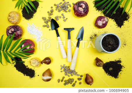 Garden tools are prepared for planting plants Garden tools are prepared for planting plants 100894905