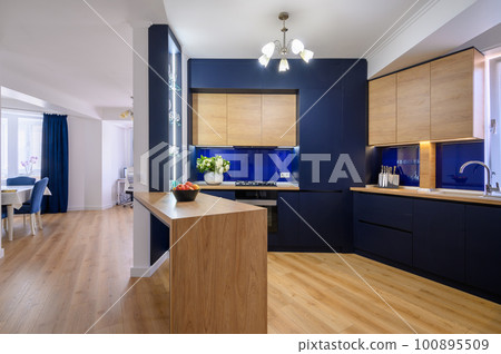 Stylish studio studio apartment with kitchen open to living room 100895509