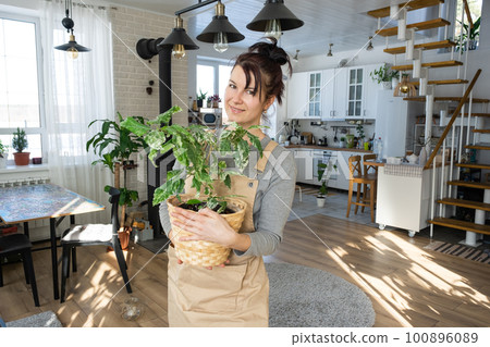 A happy woman in a green house with a potted plant in her hands smiles, takes care of a flower. The interior of a cozy eco-friendly house, a fireplace stove, a hobby for growing and breeding homeplant 100896089