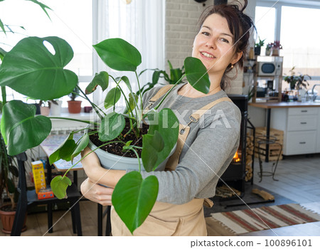 A happy woman in a green house with a potted plant in her hands smiles, takes care of a flower. The interior of a cozy eco-friendly house, a fireplace stove, a hobby for growing and breeding homeplant 100896101