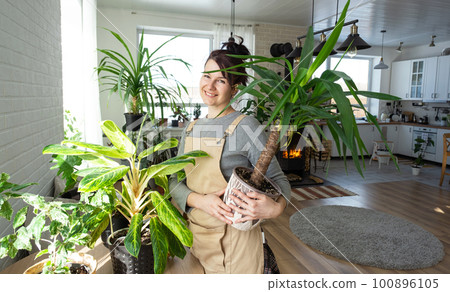 A happy woman in a green house with a potted plant in her hands smiles, takes care of a flower. The interior of a cozy eco-friendly house, a fireplace stove, a hobby for growing and breeding homeplant 100896105