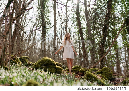 Snowdrops galanthus blonde. A girl in a white dress stands on a meadow with snowdrops in a spring forest 100896115