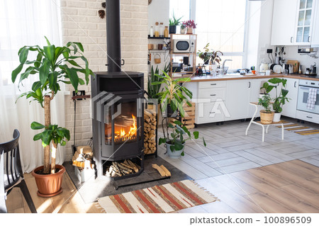 Black Metal Steel fireplace stove with fire and firewood in green home with indoor plant in flower pot in village house. Cozy home hearth in interior with potted plants Black Metal Steel fireplace stove with fire and firewood in green home with indoor plant in flower pot in village house. Cozy home hearth in interior with potted plants 100896509