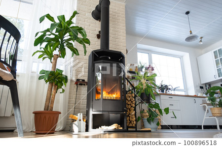 Black Metal Steel fireplace stove with fire and firewood in green home with indoor plant in flower pot in village house. Cozy home hearth in interior with potted plants 100896518