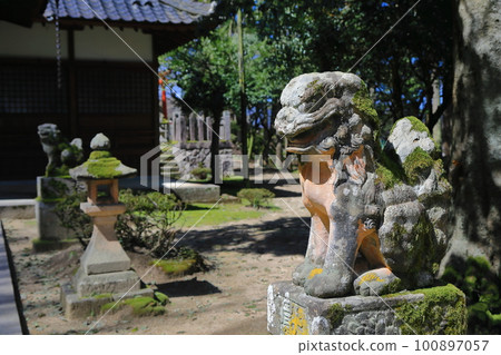 Komainu at Morosugi Shrine Komainu at Morosugi Shrine 100897057