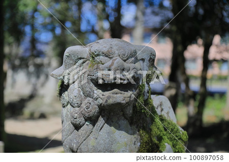 諸杉神社的駒奴 100897058
