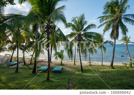 Tropical beach with shade from palm trees Tropical beach with shade from palm trees 100898042