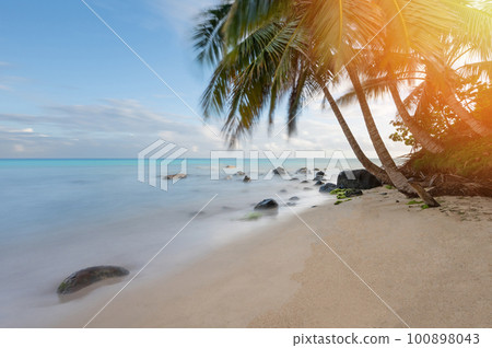 Clean tropical sand beach Clean tropical sand beach 100898043