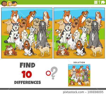 differences game with cartoon purebred dogs differences game with cartoon purebred dogs 100898095