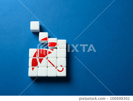 Correctly set up insurance. Financial planning. Identifying the specific risks that need to be covered. Protection and security. 100898302