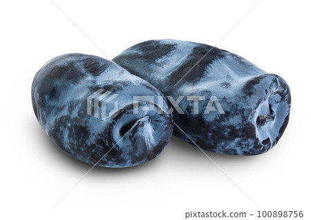 Fresh honeysuckle blue berry isolated on white background with full depth of field 100898756