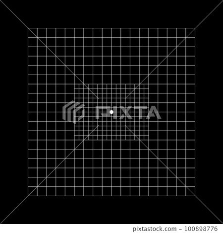 Amsler grid type with central squares divided into 0,5 degree squares. Graphic test to detecting vision defects. Ophthalmologic diagnostic tool 100898776