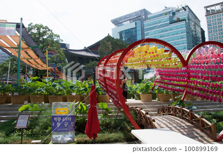 Inside the premises of Jogyesa Temple in summer. A heart-shaped object decorated with many small lanterns Inside the premises of Jogyesa Temple in summer. A heart-shaped object decorated with many small lanterns 100899169