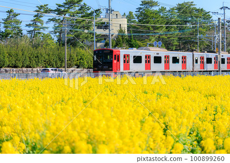 Nanohanabatake和Chikuhi Line Fukufuku no Sato(福岡縣糸島市) Nanohanabatake和Chikuhi Line Fukufuku no Sato(福岡縣糸島市) 100899260