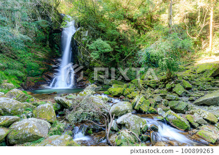 Winter Hanran Falls (Fukuoka City, Fukuoka Prefecture) Winter Hanran Falls (Fukuoka City, Fukuoka Prefecture) 100899263