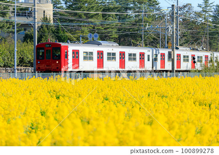 Nanohanabatake和Chikuhi Line Fukufuku no Sato（福岡縣糸島市） 100899278