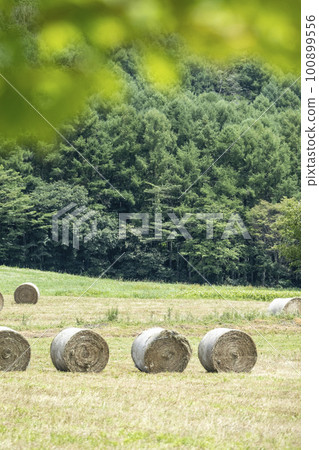 有草卷的景色（飛山高原） 100899556