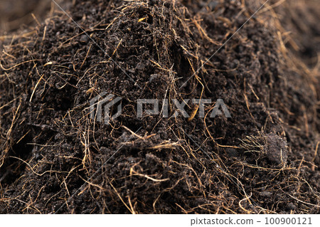 Black Fertilize Soil ready to planting, good organic soils with root for garden farming, pile set texture detail of soil with roots dust dirty.  close up selective focus over White background Isolated 100900121