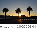 發光在日落的棕櫚樹 100900344