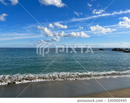 【千葉縣南房總市】一月的根本海灘 【千葉縣南房總市】一月的根本海灘 100900495