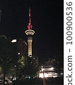 奧克蘭天空塔夜景 100900536